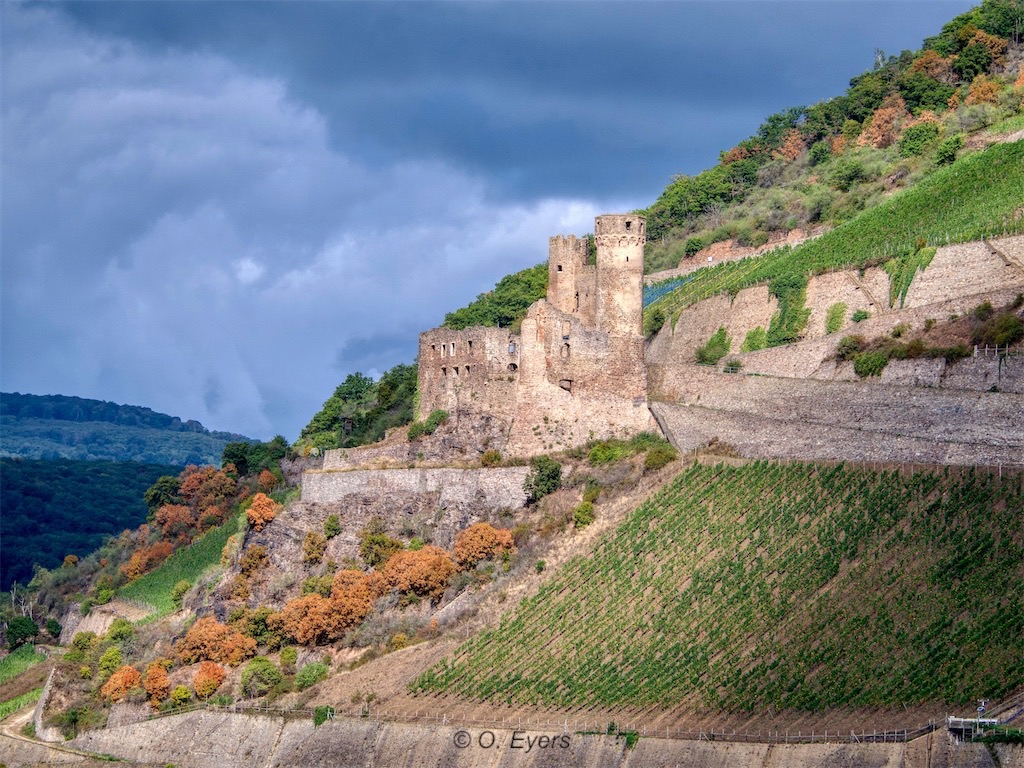 Bingen, Ruine Ehrenfels