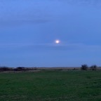 IMG_0472.jpg