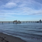 IMG_7962.jpg