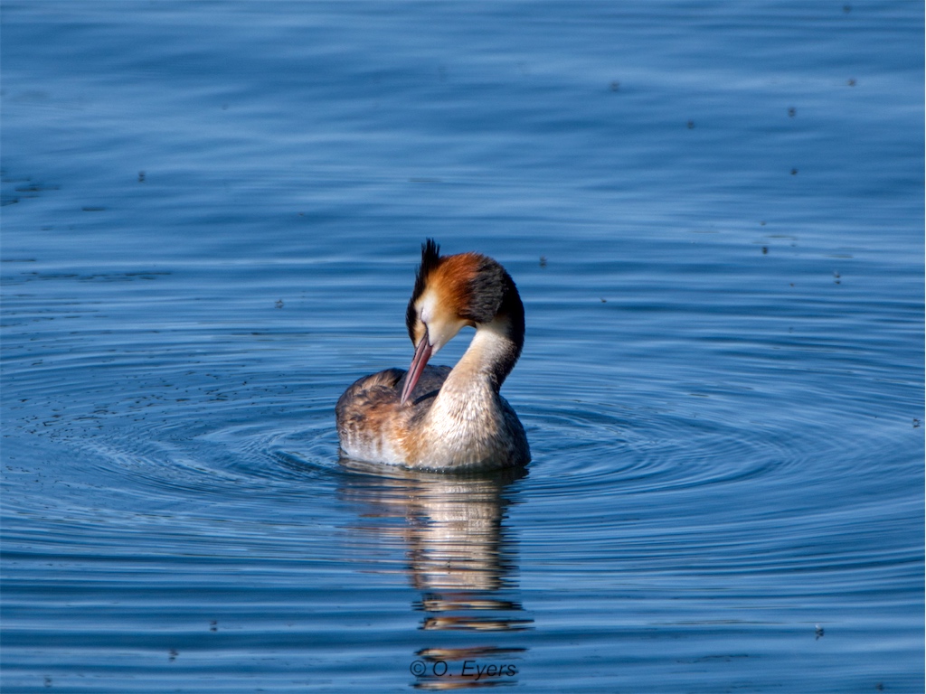 Stacks Image 9