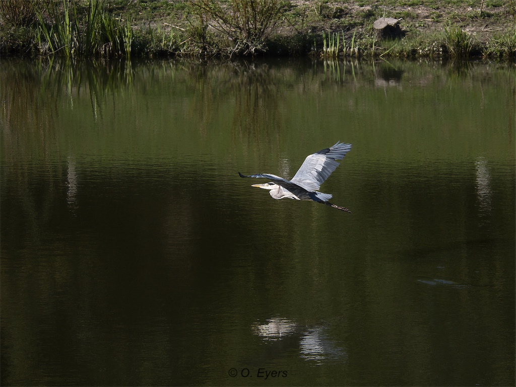 Stacks Image 97