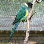 DSCF0183.jpg